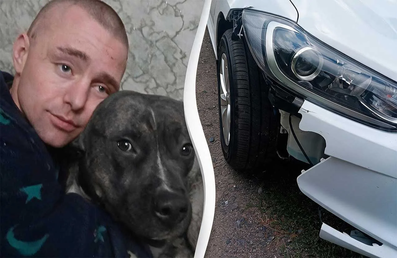 Під Абазівкою збили ветерана ЗСУ: пес Амур загинув